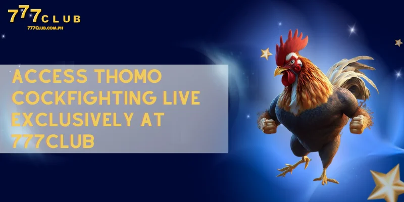 access thomo cockfighting